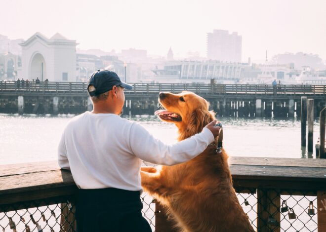 Ninguna es de California: estas son las cinco ciudades más “pet-friendly” de EE.UU.