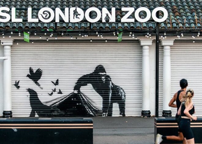 ¡Despiértense!: Banksy libera animales en la puerta del Zoo de Londres ¡Despiértense!: Banksy libera animales en la puerta del Zoo de Londres