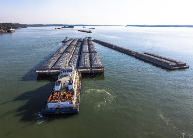 Los puertos calculan pérdidas por más de 150 mil dólares por día por el paro aceitero Los puertos calculan pérdidas por más de 150 mil dólares por día por el paro aceitero