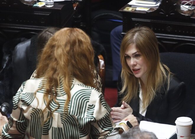 En medio de la discusión por la ley de datos genéticos, Lilia Lemoine contó que fue violada