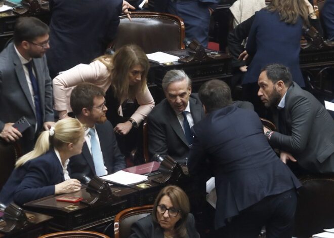 Los diputados advierten a Milei: "Si el veto es total, el rechazo será total" Los diputados advierten a Milei: "Si el veto es total, el rechazo será total"