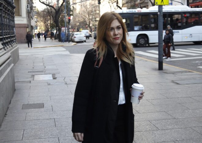 Lemoine justificó el ajuste a las universidades: "Si tenemos primarnos que no saben leer, para qué tenemos universitarios" Lemoine justificó el ajuste a las universidades: "Si tenemos primarnos que no saben leer, para qué tenemos universitarios"