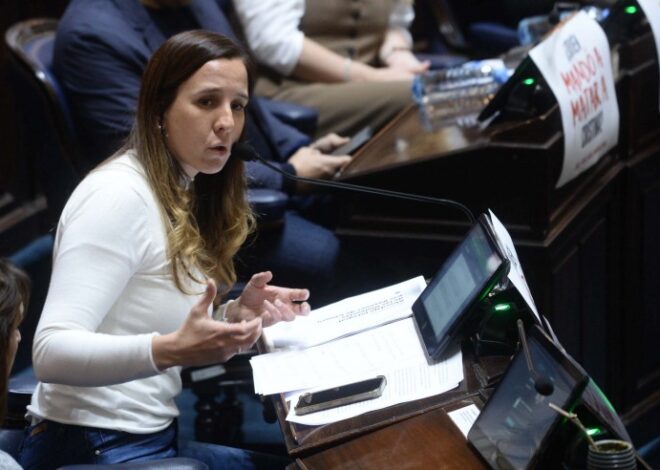 El peronismo desempolvó un proyecto de género para cubrirse del escándalo de Alberto El peronismo desempolvó un proyecto de género para cubrirse del escándalo de Alberto