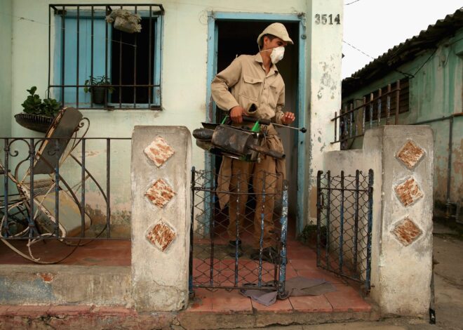 El virus del Oropouche alerta a Cuba: aumentan los casos frente a la falta de transparencia