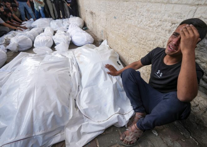 Guerra entre Israel y Gaza, en directo | La ONU pide un alto el fuego en Gaza para iniciar la campaña de vacunación de la polio tras detectarse el primer caso en 25 años Guerra entre Israel y Gaza, en directo | La ONU pide un alto el fuego en Gaza para iniciar la campaña de vacunación de la polio tras detectarse el primer caso en 25 años