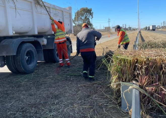 Continúa la poda para mejorar la visibilidad en la autopista Serranías Puntanas Continúa la poda para mejorar la visibilidad en la autopista Serranías Puntanas