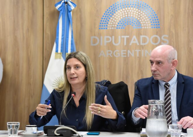 Diputados: se demora el inicio de la investigación a los libertarios que visitaron a represores en la cárcel Diputados: se demora el inicio de la investigación a los libertarios que visitaron a represores en la cárcel