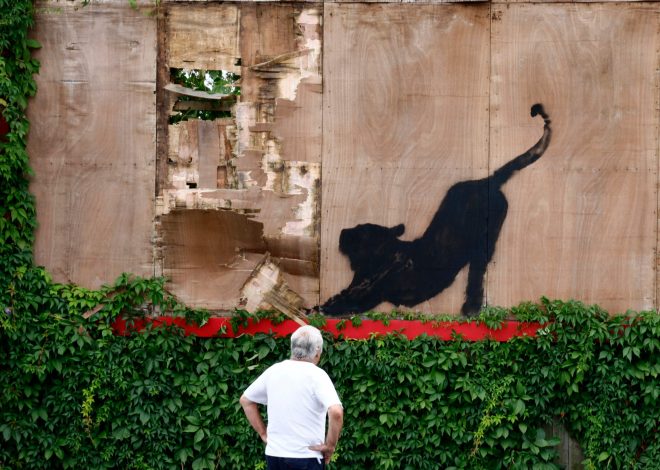 Tras los pájaros llegó el felino: imparable, Banksy sigue soltando animales en las calles de Londres