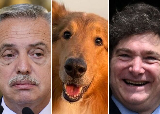 Milei le ofreció a Alberto Fernández cuidar a su perro Dylan tras ser imputado por lesiones graves Milei le ofreció a Alberto Fernández cuidar a su perro Dylan tras ser imputado por lesiones graves
