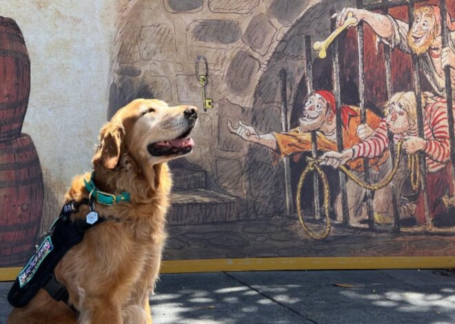 La historia de Gumbo, el perro de servicio retirado que es furor por sus aventuras con un peluche