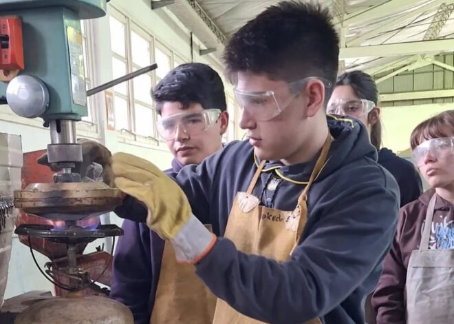 Estudiantes de Quines fabrican indumentaria animal con material reciclado&nbsp;