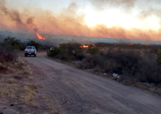 Combaten un incendio forestal en cercanías de la estancia ‘Las tres esquinas’ Combaten un incendio forestal en cercanías de la estancia ‘Las tres esquinas’