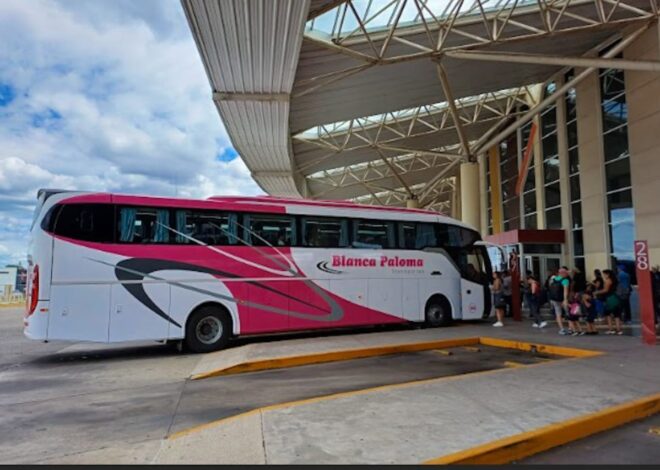 Ponen en funcionamiento una extensión del corredor de San Martín a Potrerillo