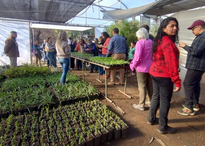 Más de 70 emprendedores y productores agrícolas se capacitaron en el vivero de Improfop Más de 70 emprendedores y productores agrícolas se capacitaron en el vivero de Improfop
