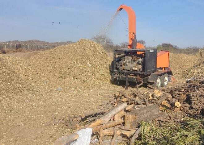 Los viveros recibieron más de 140 toneladas de residuos verdes que serán utilizados para compost
