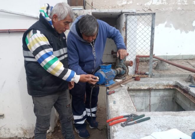 Continúan los trabajos de recuperación del frigorífico San Martín