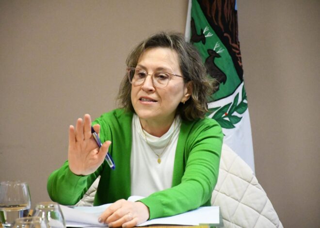 Diputados recibió a la ministra de Salud para continuar el trabajo en la ley de carrera sanitaria Diputados recibió a la ministra de Salud para continuar el trabajo en la ley de carrera sanitaria