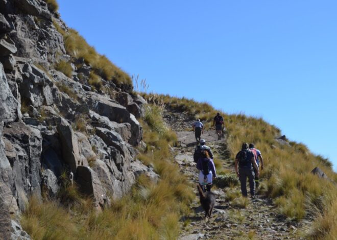 Merlo será sede del 4° Congreso Internacional de Turismo en Serranías Merlo será sede del 4° Congreso Internacional de Turismo en Serranías