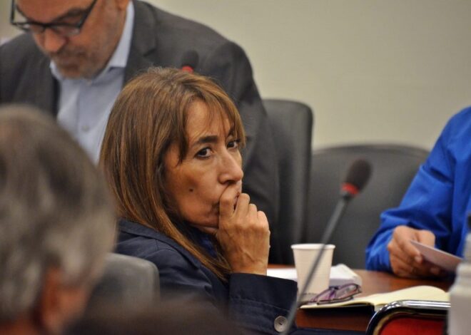 Otros tres diputados radicales analizan sumarse al grupo de libertarios Otros tres diputados radicales analizan sumarse al grupo de libertarios
