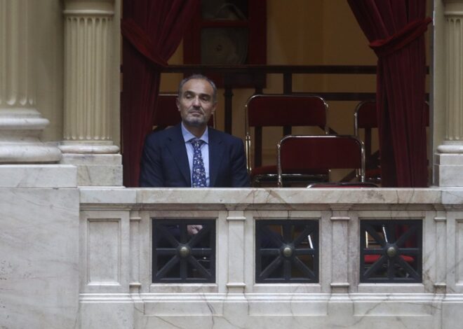 Lule Menem se queda con la caja de la Aduana Lule Menem se queda con la caja de la Aduana