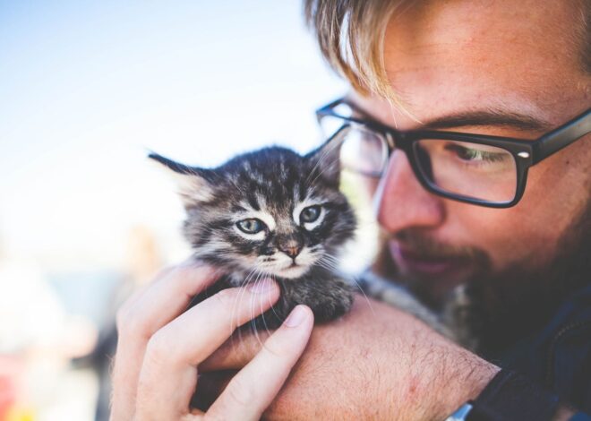 Los motivos por los que los gatos se estiran sobre sus dueños Los motivos por los que los gatos se estiran sobre sus dueños