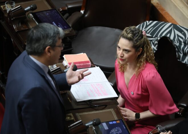 Lourdes Arrieta defendió el aumento a los jubilados y anticipó su rechazo al veto de Javier Milei Lourdes Arrieta defendió el aumento a los jubilados y anticipó su rechazo al veto de Javier Milei