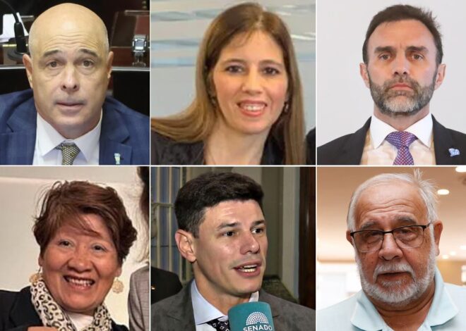 Los senadores libertarios tienen seis senadores, 88 asesores y administra una caja que le cuesta al Estado al menos $120 millones por mes El bloque libertario tiene seis senadores, 88 asesores y administra una caja que le cuesta al Estado al menos $120 millones por mes
