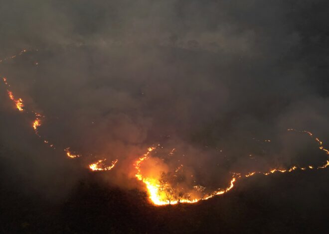 Que se sabe sobre los impactantes incendios en el Amazonas que afectan a varios países de América del Sur
