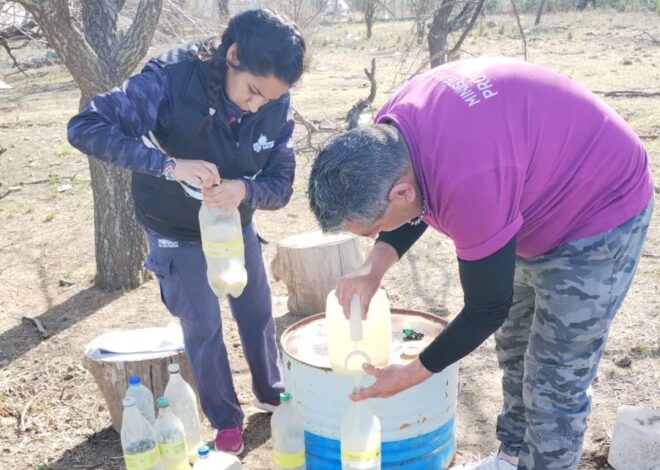 Brigadas fitosanitarias combaten la mosca de los frutos en Villa Mercedes Brigadas fitosanitarias combaten la mosca de los frutos en Villa Mercedes