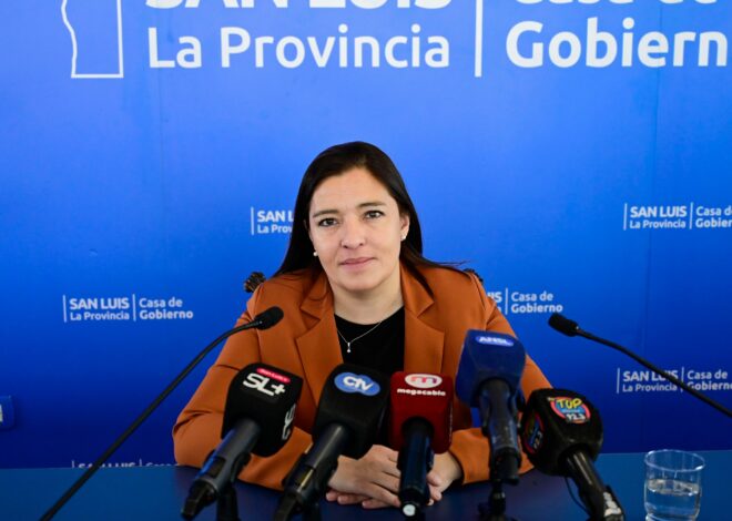 “La inversión deberá estar relacionada con las funciones de la ONG”