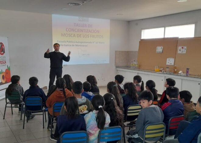 El taller para la erradicación de la mosca de los frutos fomentó la participación estudiantil El taller para la erradicación de la mosca de los frutos fomentó la participación estudiantil