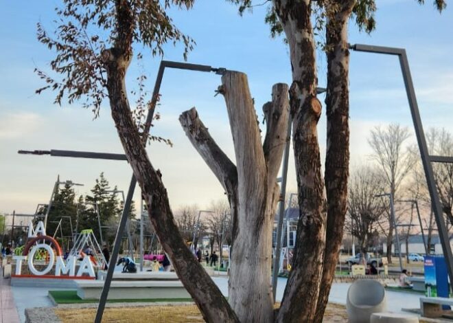 Ambiente capacitó al municipio de La Toma en poda correctiva