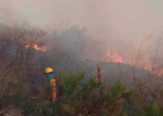 Buscan apagar el único incendio activo que queda en San Luis