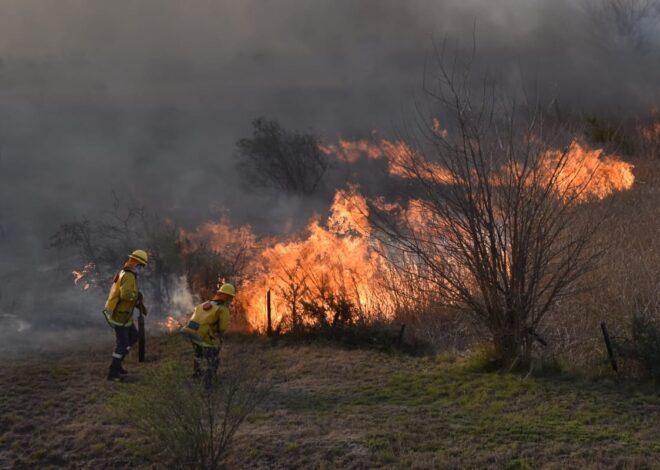 Corte de ruta, evacuados y alerta. Los incendios forestales ya jaquean un barrio cerrado en Córdoba Corte de ruta, evacuados y alerta. Los incendios forestales ya jaquean un barrio cerrado en Córdoba