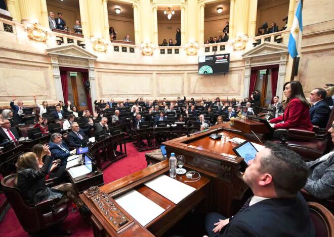 Imagen: viapais.com.ar