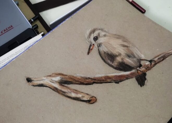 Con foco en la libertad expresiva, Carlos Urteaga continúa con su taller de dibujo Con foco en la libertad expresiva, Carlos Urteaga continúa con su taller de dibujo