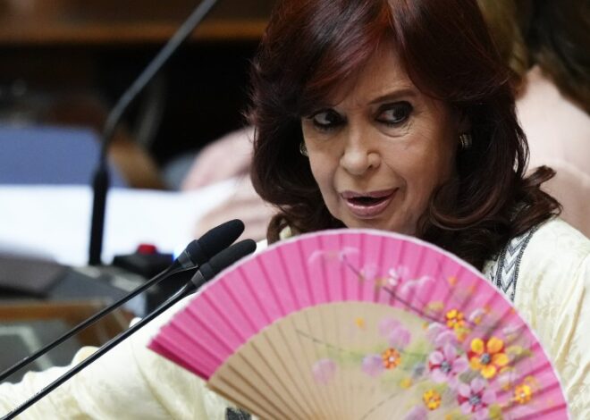 Cristina se enojó con Milei porque le sacó la jubilación: "Pequeño dictadorzuelo, burro, me das vergüenza" Cristina se enojó con Milei porque le sacó la jubilación: "Pequeño dictadorzuelo, burro, me das vergüenza"