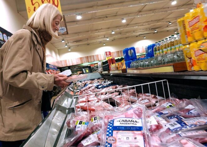 Los próximos pasos para combatir la inflación que planea el gobierno de Javier Milei