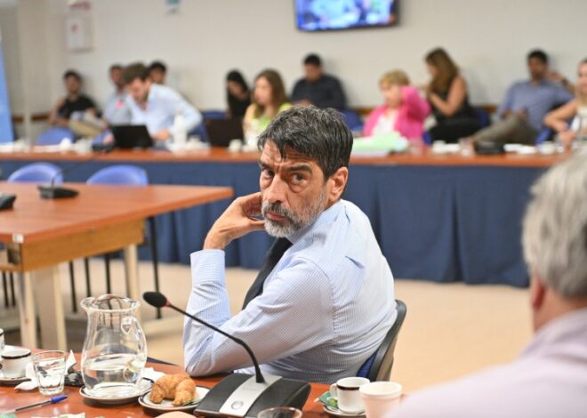 El kirchnerista Tailhade confirma que Caputo echó al titular de la UIF por ir contra Cristina El kirchnerista Tailhade confirma que Caputo echó al titular de la UIF por ir contra Cristina