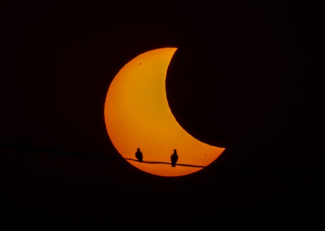 Cuándo es el próximo eclipse