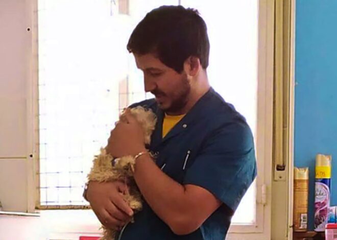 Bahía Blanca: la historia del veterinario que volvió a su consultorio para salvar a los animales Bahía Blanca: la historia del veterinario que volvió a su consultorio para salvar a los animales