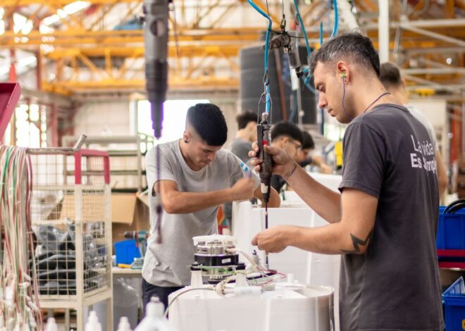 Electrodomésticos: el sector recupera lo perdido en 2024, pero aguarda definiciones para delinear inversiones