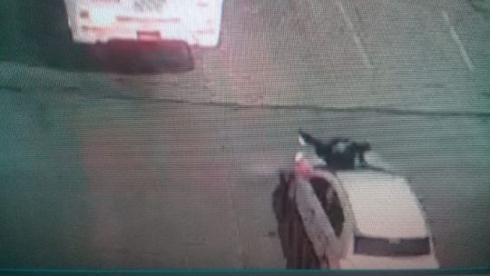 VIDEO | Córdoba: Un conductor de Uber evadió un control y arrastró a un policía en el capot por varias cuadras