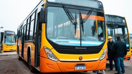 Coniferal anunció la suspensión de algunos boletos sociales y desde la Municipalidad dijeron que el tema “se va a resolver” Coniferal anunció la suspensión de algunos boletos sociales y desde la Municipalidad dijeron que el tema “se va a resolver”