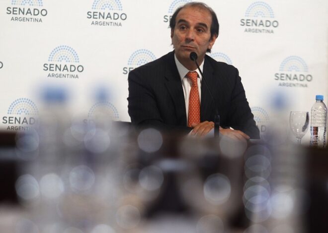 Tras la derrota en el Senado, el juez Ramos Padilla ordenó que García Mansilla no firme más fallos