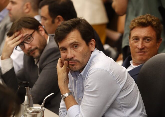 Vetado por Karina, un radical con peluca armó una lista libertaria blue