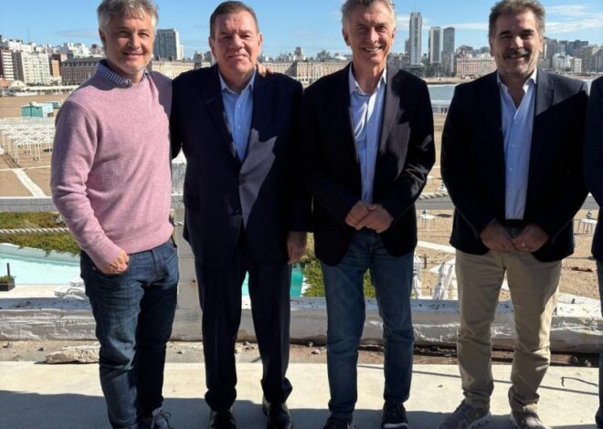 Macri confirmó que quiere rearmar Juntos y mandó un mensaje a Milei: "Los que tenían precio ya los compró" Macri confirmó que quiere rearmar Juntos y mandó un mensaje a Milei: "Los que tenían precio ya los compró"