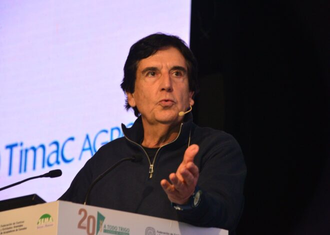 Melconian anticipó un “cambio rotundo” en el plan del Gobierno y habló del precio del dólar sin cepo Melconian anticipó un “cambio rotundo” en el plan del Gobierno y habló del precio del dólar sin cepo