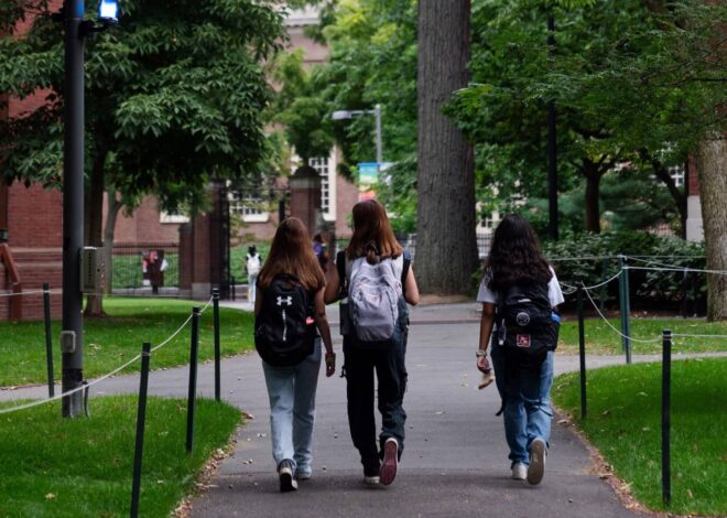 Nueva propuesta en Illinois busca simplificar el proceso de admisión universitaria Nueva propuesta en Illinois busca simplificar el proceso de admisión universitaria
