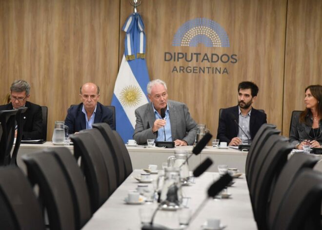 Diputados | Gestan una ofensiva opositora para impedir al Gobierno que suba las retenciones al campo Diputados | Gestan una ofensiva opositora para impedir al Gobierno que suba las retenciones al campo